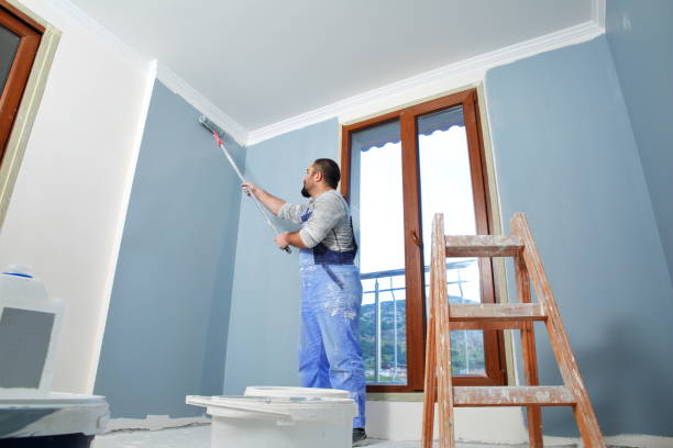 Best Wallpaper Removal and Painting  in Brackenridge, PA